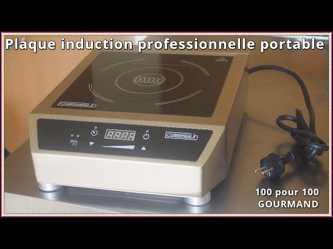 Plaque induction professionnelle portable (caractéristiques et  fonctionnement) 