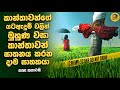 දාම ඝාතක ෆිල්ම් බලනවනම් මෙන්න ෆිල්ම් එක...| Movie Explained in Sinhala | Baiscope tv