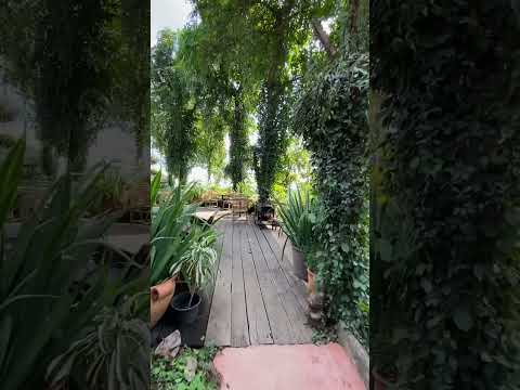 Phu Chaisai Mountain Resort ,Chaing Rai 11jan 2022