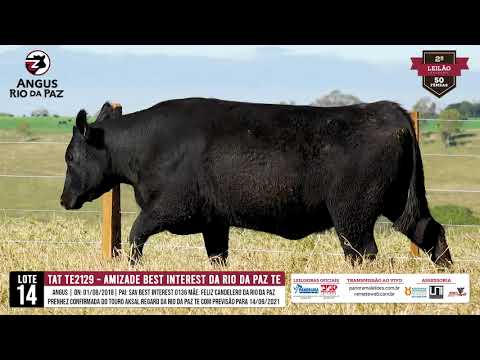 LOTE 14 TE2129 AMIZADE BEST INTEREST DA RIO DA PAZ - Prod. Agência e Tv El Campo