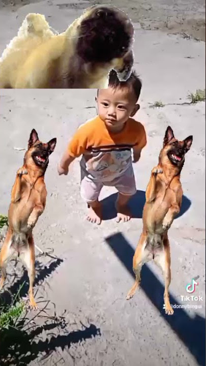budak lucu