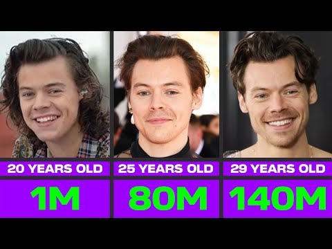 Harry Styles Net Worth 20-29 Years Old