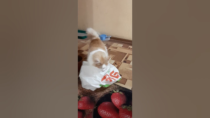 Британские ученые опять что то доказали