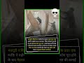 मजदूरी न मिलने पर कारीगरों ने तोड़ा घर का सामान🤣||#shortsfeed #viralfact #fanny #viralstory #explore