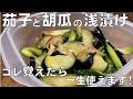 料理人が教える！切って袋に入れるだけ！【15分で作れる なすときゅうりの浅漬け！】漬物はもう買わない！誰でも簡単に家のある調味料で作れる簡単漬け物！漬物・浅漬け・ご飯のおとも！