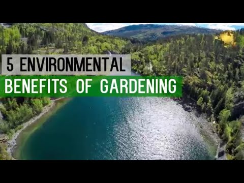Video: Milieuvriendelijke tuintips – Groene tuintrends voor een schonere aarde