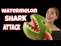 How To Make A Watermelon SHARK/Fruit carving tutorial