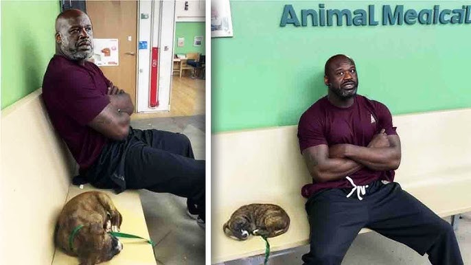 Big Shaq Refuses To Leave Abandoned Puppy, The Reason Why Will Make You Cry!