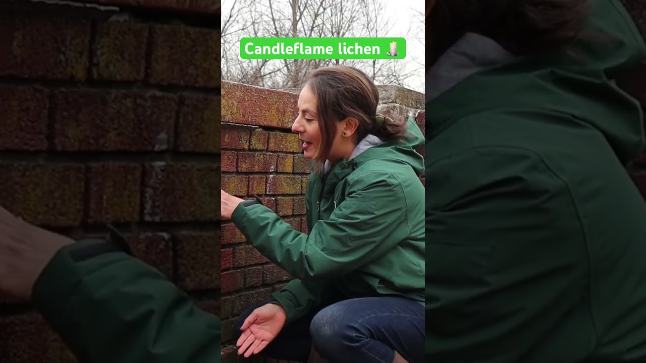 How to identify candleflame 