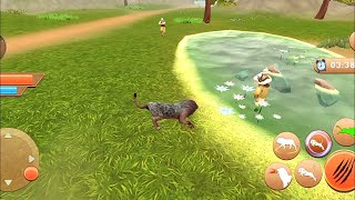 Lion Simulator Game| Animal| Level 10 Lion Mission: Hunters a in Jungle| iOS Games| The King is Back screenshot 4
