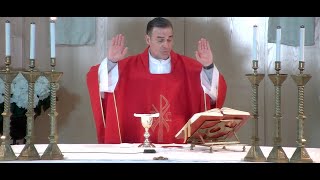 La Santa Misa de hoy |Fiesta de San Marcos, evangelista | 25042024 | P. Javier Martín, FM