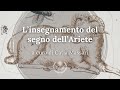 L'Oracolo della settimana: L'insegnamento del segno dell'Ariete - di Catia Massari