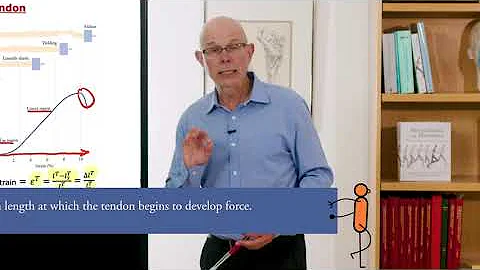 Biomechanics of Movement | Lecture 5.2: Another Look at Muscle Force-Length and Force-Velocity