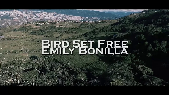 Emily Bonilla - Bird Set Free (Sia Cover)