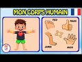 BODY PARTS Vocabulary For Children In French 