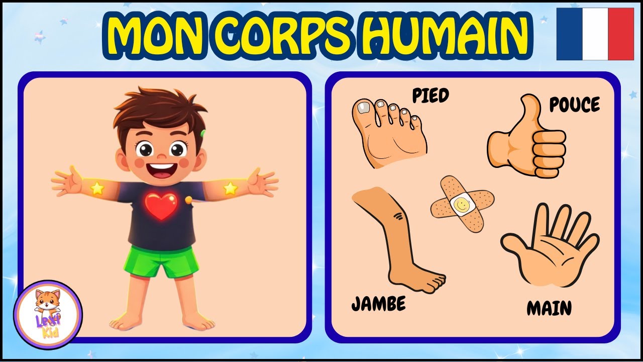 LES PARTIES DU CORPS | Vocabulaire pour enfants en français