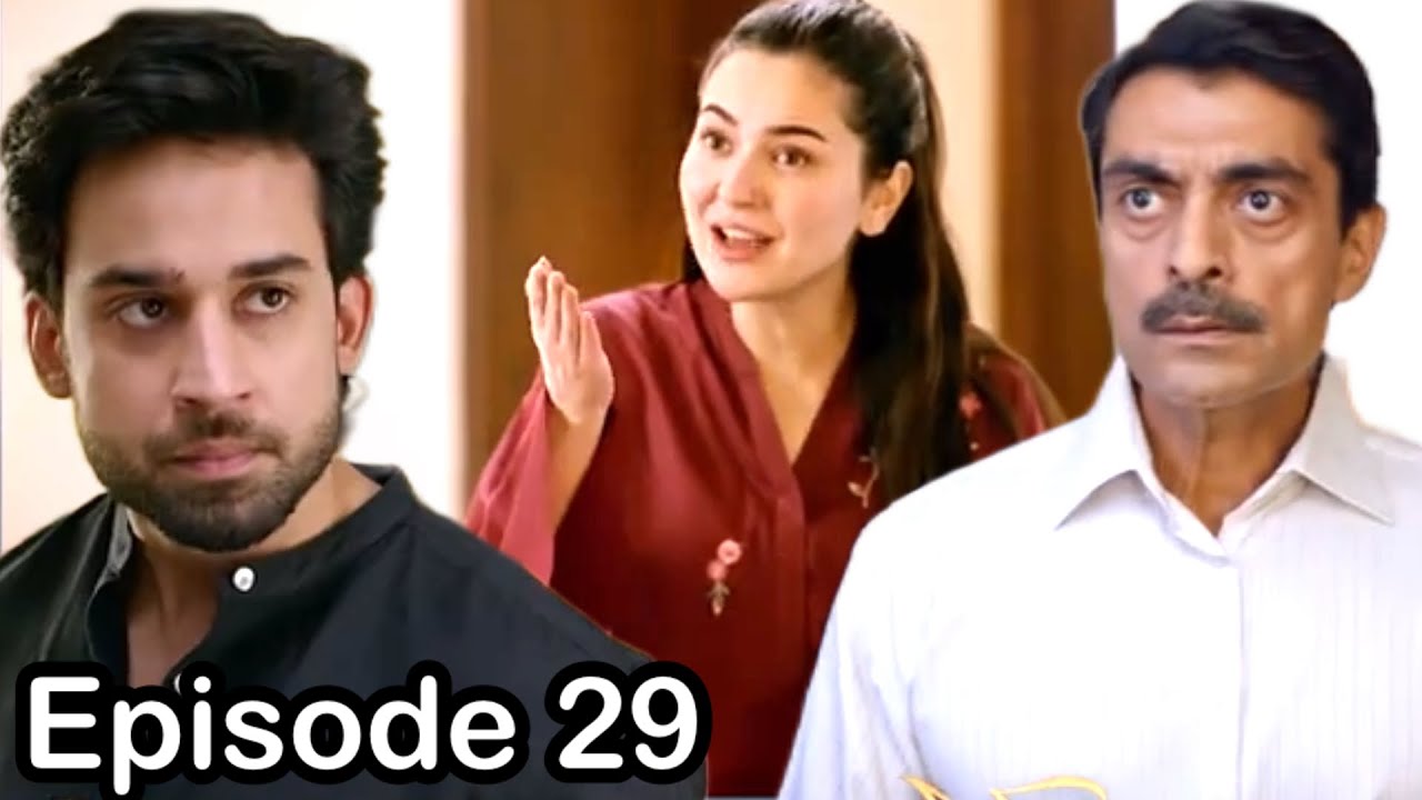 Meri Zindagi hai tu episode 29 teaser promo review Next story reveal