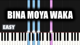 Mmatema - Bina Moya Waka | EASY PIANO TUTORIAL by SA Gospel Piano