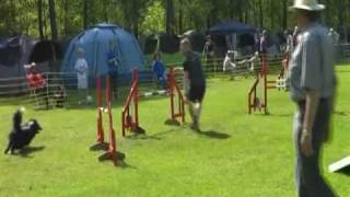 20100522_Agil_Canis.avi