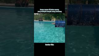 buaya nyasar dalam kolam #shorts #film #drama