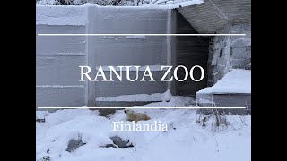 El zoológico más al norte del mundo… Zoo Ranua | Finlandia