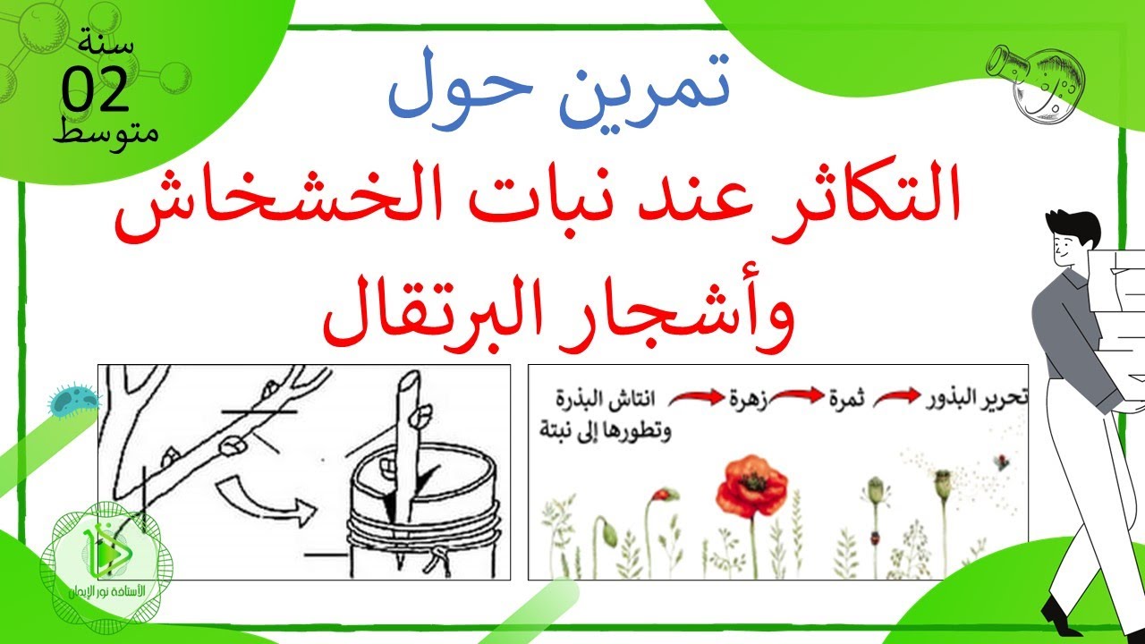 تمرين حول أنماط التكاثر عند نبات الخشخاش والبرتقال علوم طبيعية سنة 02 متوسط