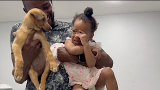 Her 1st Time Seeing A Real Dog