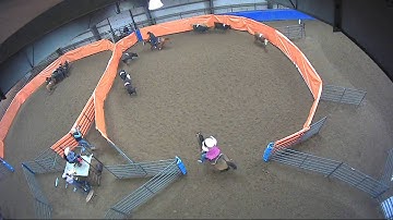 Big Sky Ranch Sorting Saddle Series #3 - Open H/C - Round #1 - Ride #4