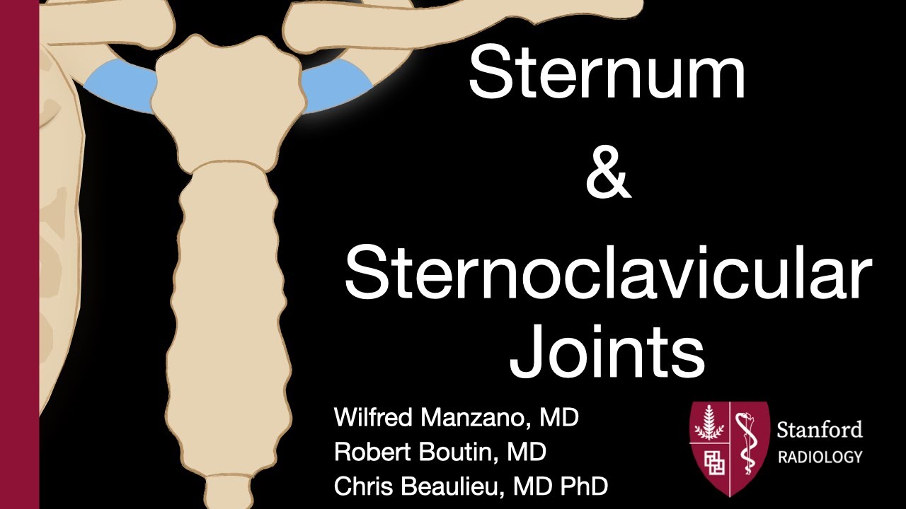 Sternum and Sternoclavicular Joints - Wilfred Manzano MD