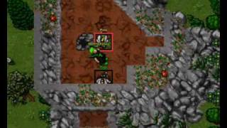 Full tibia first to main on olympia Update