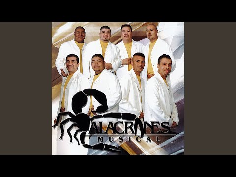 Putar La Piedrecita - Alacranes Musical