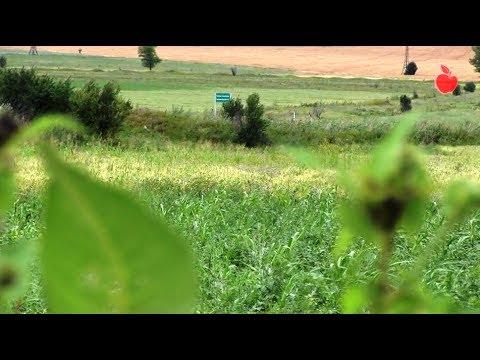 ჩობალაურის ბანერი - ყველაზე ახლოს ავტობანთან