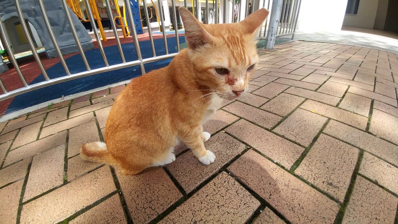 Block 177 Lompang Road - Fujitec elevators