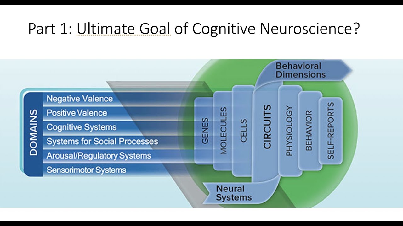 name a major goal of neuroscience research