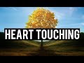 Surah an nur 35  heart touching recitation