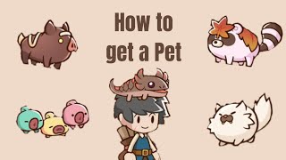 How to get a Pet in Postknight 2 How to get a Pet in Postknight 2
