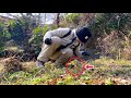 この時期よく足下にいるコイツ、○○したら最悪命もってかれます。