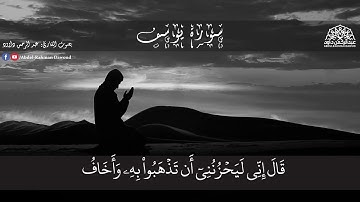 سورة يوسف.   #ليطمئن_قلبي   #عبد_الرحمن_داود