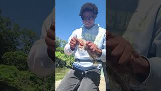 PB rock Bass on a Crank bait. #fishing #bassfeatured #bassfishing