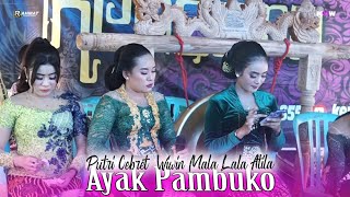 Pambuko Boto Rubuh •(Putri Cebret Wiwin Kumala Lala Atila)• Kencana Wungu Campursari