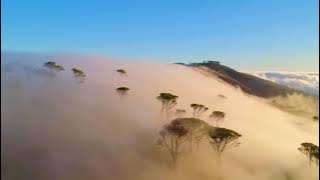 House Of The Rising Sun#Heavy Slow Rock#The Best Slow Rock#Slow Rock 89#Mutiara Music