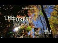 The Forest Chill Lounge Vol.11(Deep Moods Music With Smooth Ambient & Chillout Tunes) MixTape (HD)