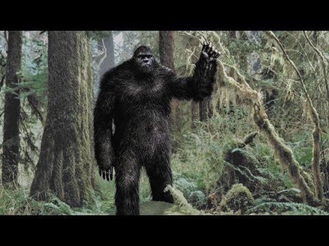 Vídeo: Diez Teorías Sobre Bigfoot - Vista Alternativa