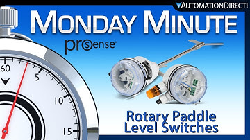 ProSense Paddle Level Switch from AutomationDirect