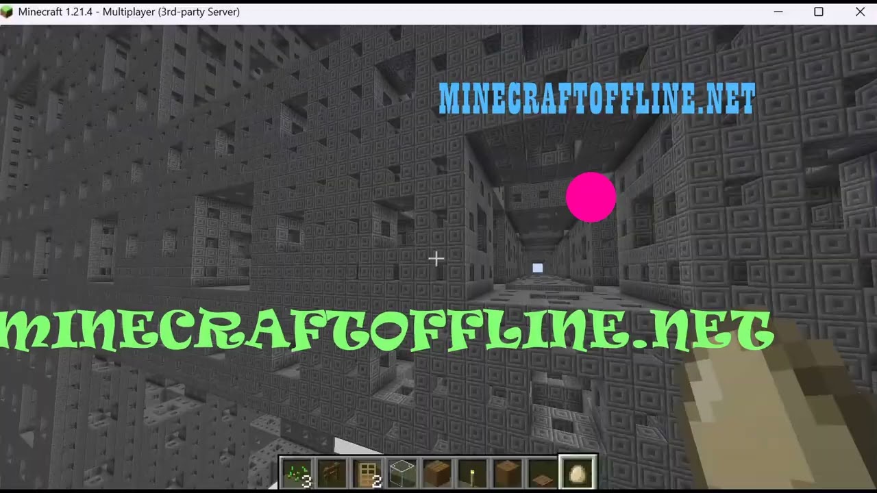 minecraft server 1.21.11 strong community