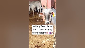 5 नवम्बर कार्तिक पूर्णिमा के दिन करें ये उपाय धन संपदा की कमी नहीं होगी #kartikpurnima2025#Poornima