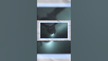 Sledgehammer Games Is Doing Pretty Well On MW3     #callofduty #cod #warzone #gaming #discussion