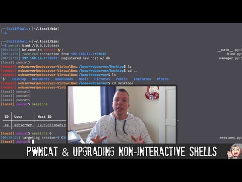 ED24 - PwnCat & Upgrading Non-Interactive Shells