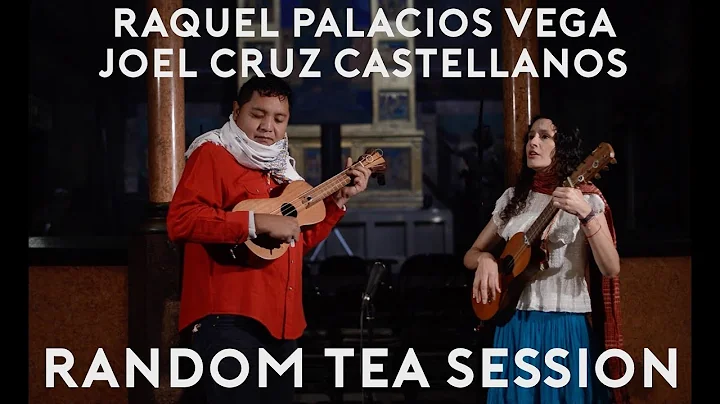 Raquel Palacios Vega y Joel Cruz Castellanos - El ...