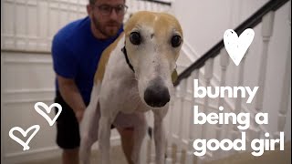 bunny being the gooddest girl - a jenna marbles edit